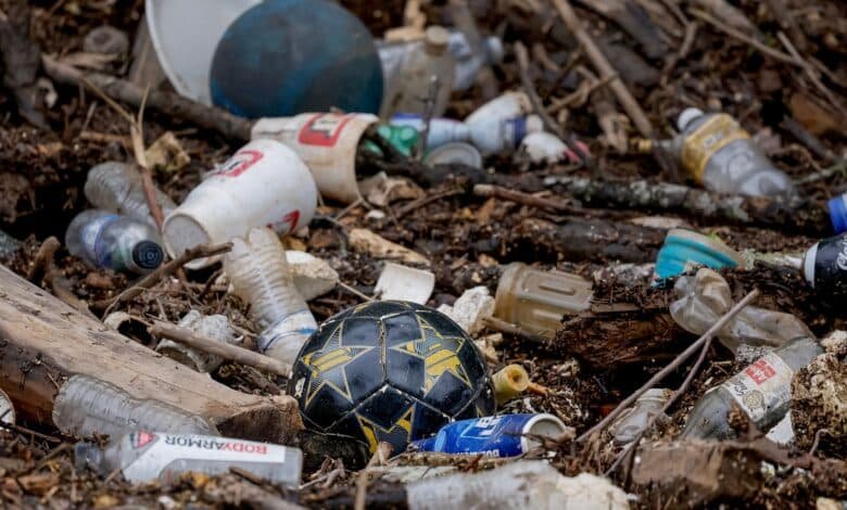Trump's policies could affect the environment long after they leave office, some experts say